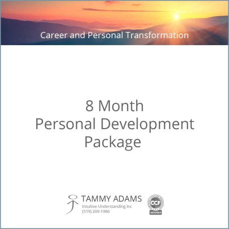 Service - Career and Personal Transformation - 8 Month Personal Development Package