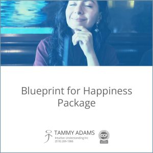 Blueprint for Happiness Package
