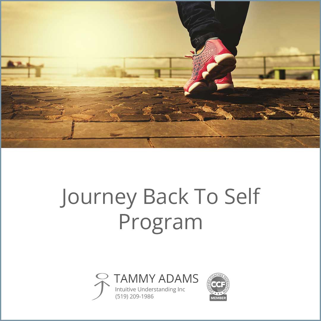 Journey Back to Self Program