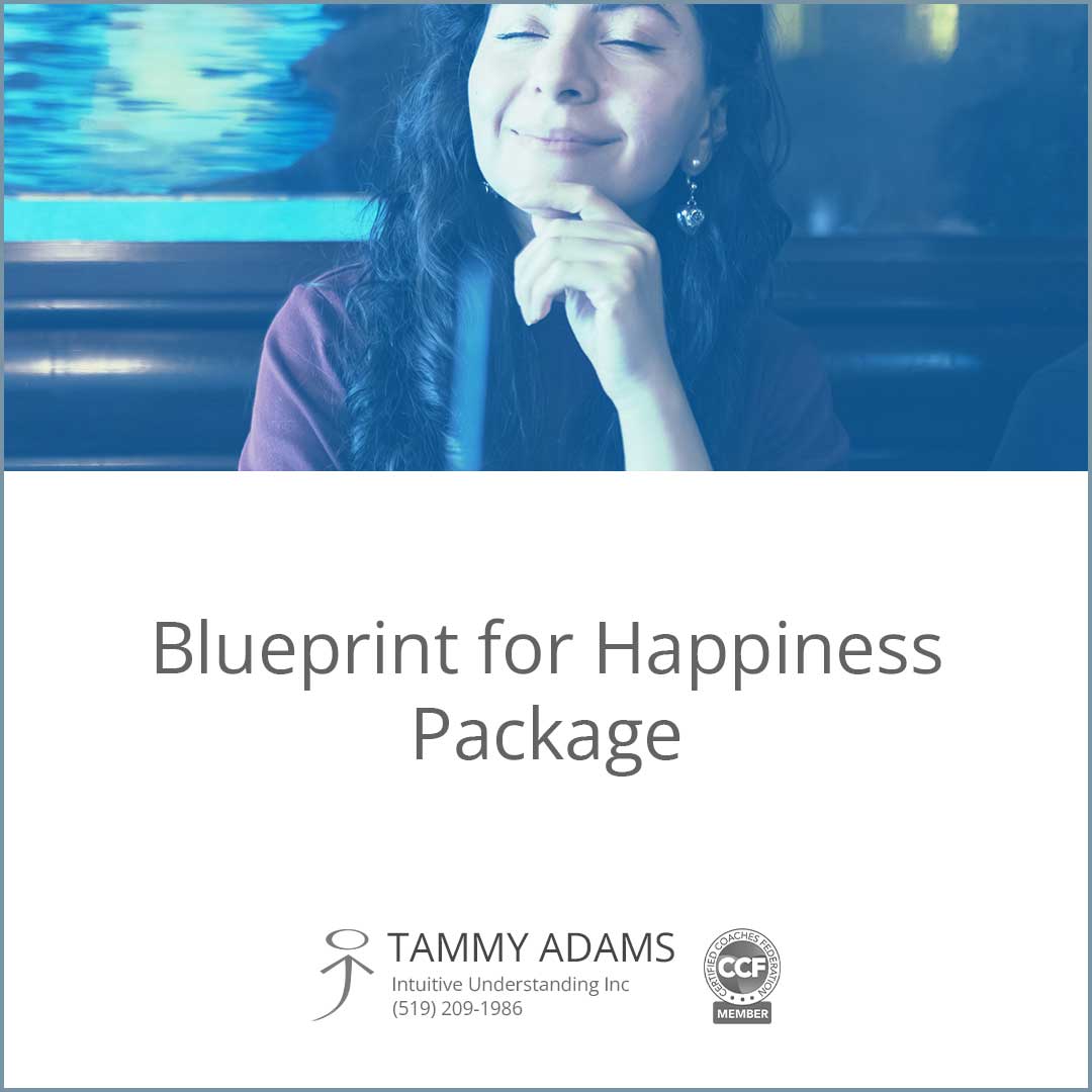 Blueprint for Happiness Package